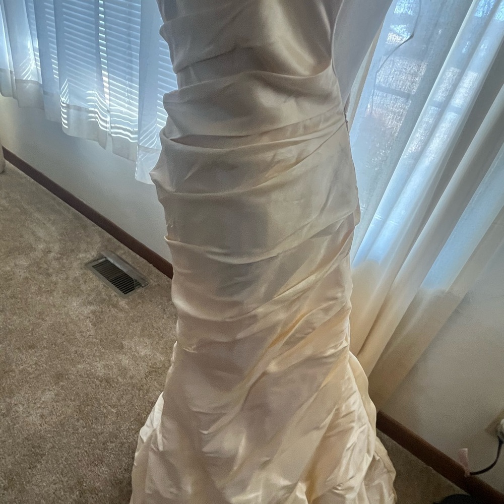 Elegant Cream Strapless David's bridal gown - Picture 4 of 8